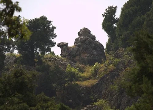 Camel’s Back  Road